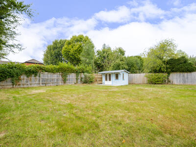 Picture 21